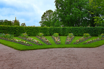 Wooden fence and flowers in the garden. Garden flower part