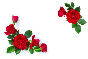 Red roses with green leaves on white background, top view, flat lay, copy space for text