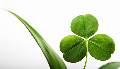 Four Leaf Clover Isolated White Background Generative Ai