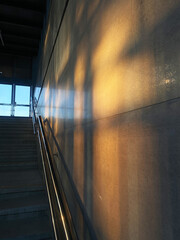 Soft dawn light casts intricate shadows on a textured wall beside a staircase, creating a serene atmosphere that embodies the beginning of a new day