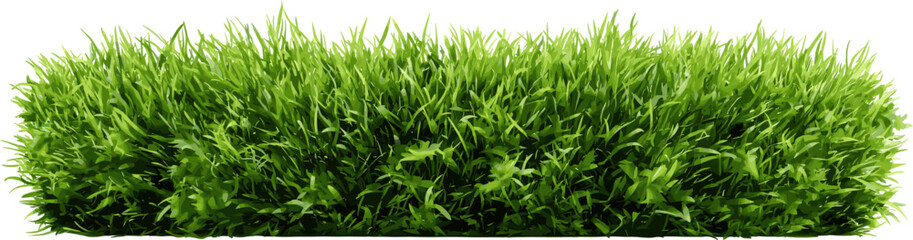 Obraz premium green grass rectangle, cut out illustration isolated on white background.