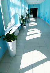 Bright corridor with blue walls and large windows, featuring potted plants casting shadows on the tiled floor, creating a serene and inviting atmosphere for relaxation