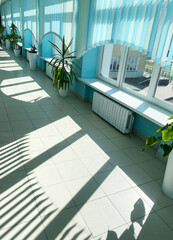 Bright interior space with sunlight casting beautiful shadows on tiled floor, featuring potted plants and blue curtains, creating a serene and inviting atmosphere with copy space