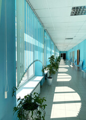 Hallway interior featuring blue walls, vertical blinds, and lush green plants, creating a serene atmosphere with natural light and inviting ambiance for relaxation and contemplation