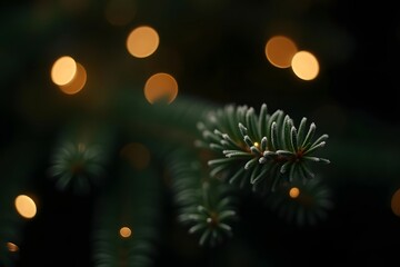 A close up view of a pine branch with yellow lights in the background out of focus softly glowing