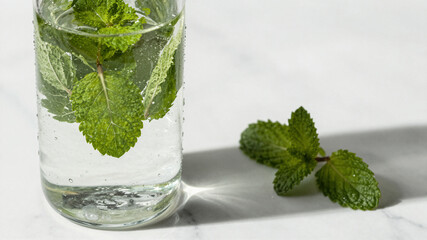 Glass Water Bottle Fresh Mint