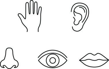 Obraz premium Human body parts icons in simple line style drawing