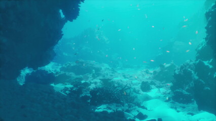 Turquoise reef corridor with sandy channel and dappled sun rays across seabed, calm blue visibility. Ideal drift dive route for snorkelers and survey teams, © icetray