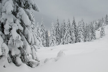 Winter landscape with snow-covered forest in Zuratkul national park, South Ural, Russian Federation