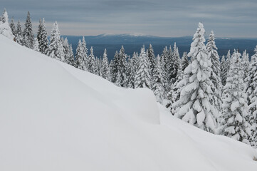 Scenic view of snow-covered fir-trees in the national park Zuratkul, South Ural, Russian Federation