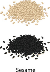 Heaps of white and black sesame seeds isolated on white background for culinary and agricultural ingredient concepts.