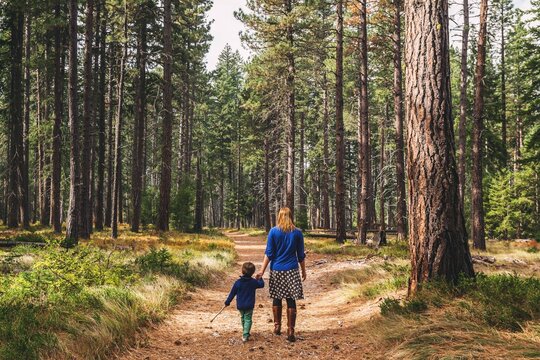 Rear view of a woman walking through a forest holding hands with her son