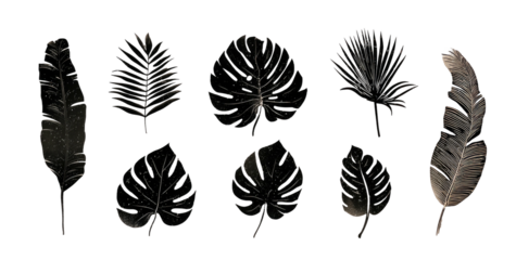 Assortment of botanical elements, with ferns and other foliage, set against a dark background