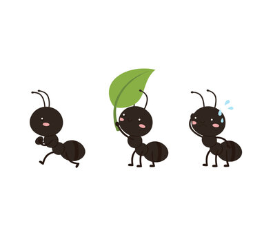 Set of Three Cute Black Ants Carrying Leaf and Working Hard, Garden Insect Characters Collection, Teamwork and Hard Work Concept Illustration