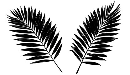 Obraz premium Artistic depiction of light streaks resembling plant fronds, set against a dark, contrasting background