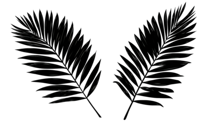 Artistic depiction of light streaks resembling plant fronds, set against a dark, contrasting background