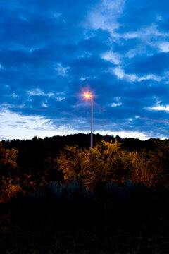 A lit lamp post emerging above the treetops at dusk, Santa Fe.