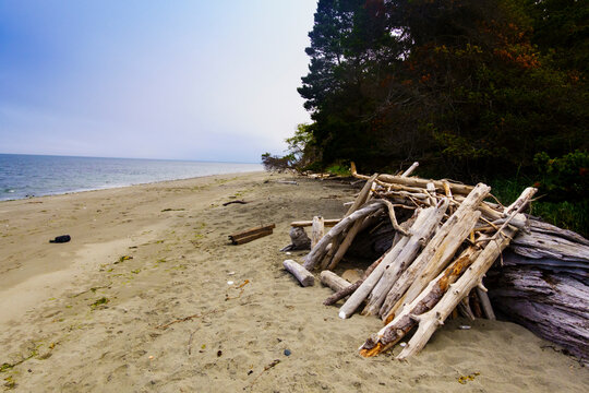 Driftwood hut on the beach at Marrowstone Island.