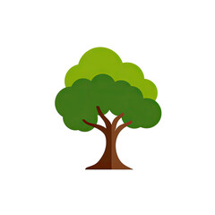 A simple illustration of a tree with green leaves and a brown trunk against a black backdrop