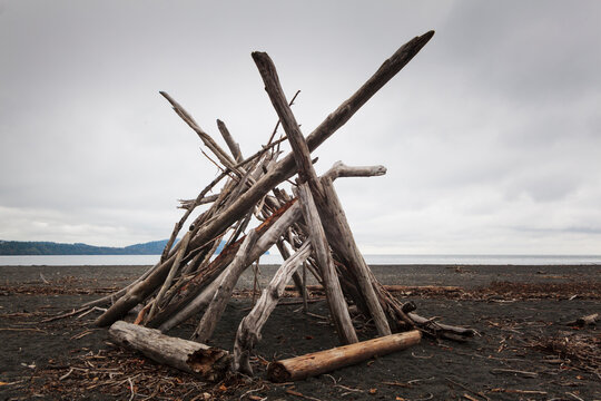 A driftwood framework on the beach, smooth logs for a shelter.