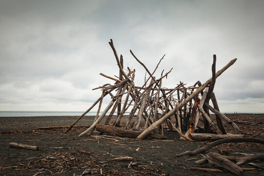 A driftwood framework on the beach, smooth logs for a shelter.
