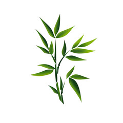 Digitally created illustration of a green bamboo stalk and leaves against a black background