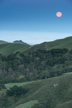 Full Moon in the sky over the landscape near Paso Robles.