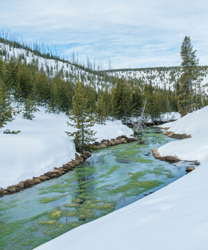 Yellowstone National Park, Obsidian Creek, snow and ice, trees on the hillside.