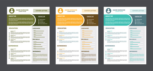 Professional Resume Templates with Modern Designs and Clean Layouts