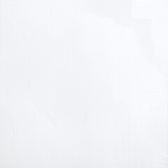 A smooth, pristine white wall illuminated by soft natural light, showcasing subtle textures and shadows that add depth to its minimalist appearance.