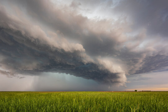 Developing Mesocyclone Supercell, a cloud formation above the ground, over cornfields.