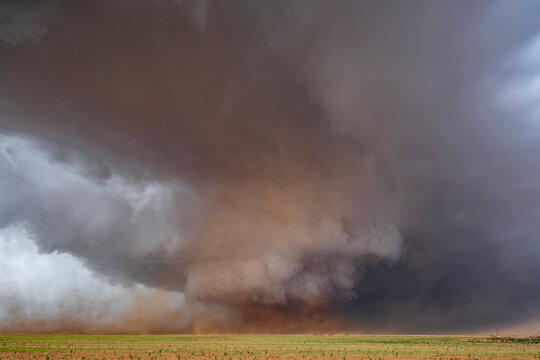 A Monster Wedge Tornado near Morton, clouds gathering in the sky above fields in a flat landscape.