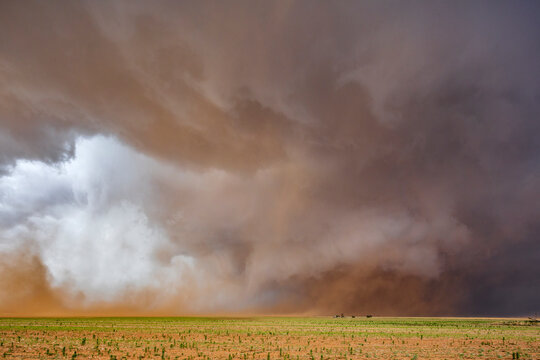A Monster Wedge Tornado near Morton, clouds gathering in the sky above fields in a flat landscape.