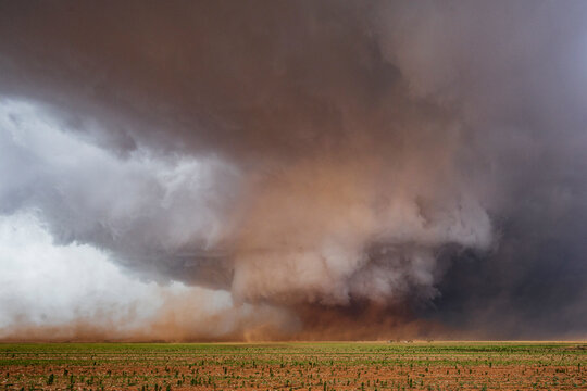 A Monster Wedge Tornado near Morton, clouds gathering in the sky above fields in a flat landscape.