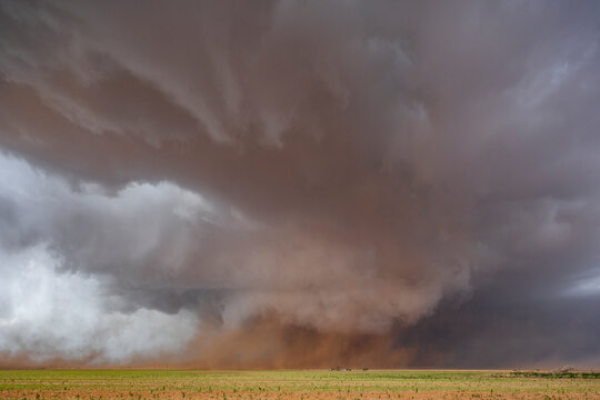 A Monster Wedge Tornado near Morton, clouds gathering in the sky above fields in a flat landscape.