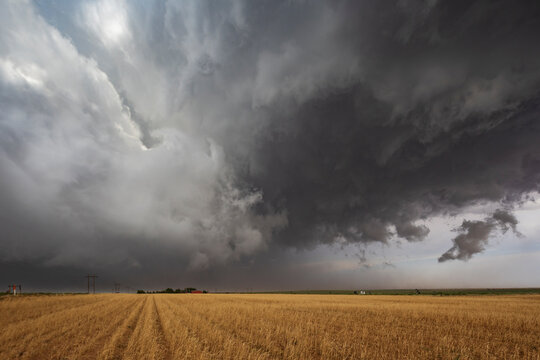 Back Side of a Tornado-Warned Supercell