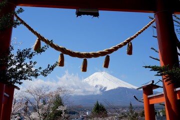 Views of Mount Fuji from Chureito Pagoda ,Mount Fuji framed by vibrant pink cherry blossoms Sakura in full bloom at Chureito Pagoda,Fujiyoshida ,Japan. A springtime landscape.