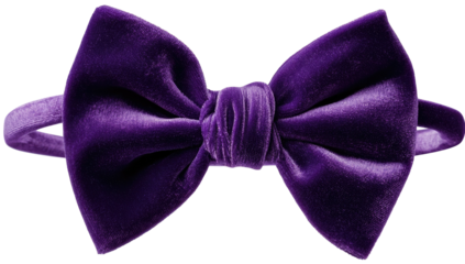 Close-up of a luxurious, deep purple velvet bow tie with a soft, textured appearance