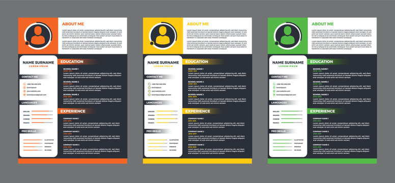Professional Resume Templates with Education Experience and Skills Sections
