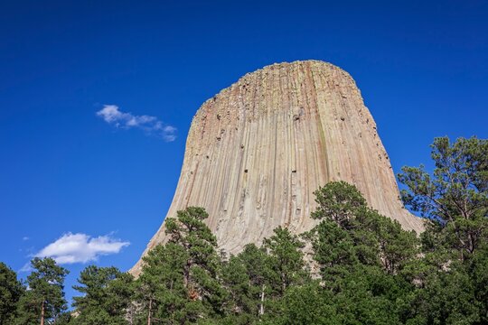 A dramatic view of Devil's Tower rising above the forest in Wyoming, showcasing its unique volcanic rock formation under a clear blue sky.