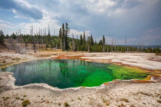 Colorful Abyss Pool in Yellowstone's West Thumb Geyser Basin with steaming hot spring and forest backdrop in Wyoming.
