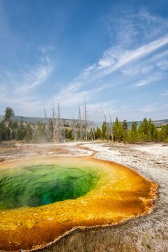 Vibrant colors of Morning Glory Pool in Yellowstone's Upper Geyser Basin, with clear geothermal water and mineral rings.