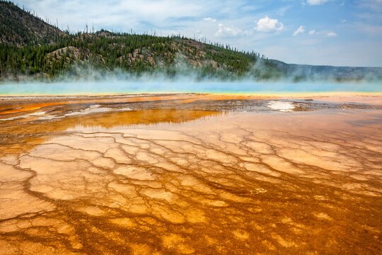 Colorful bacteria mat surrounding Grand Prismatic Spring, Midway Geyser Basin, Yellowstone National Park, Wyoming