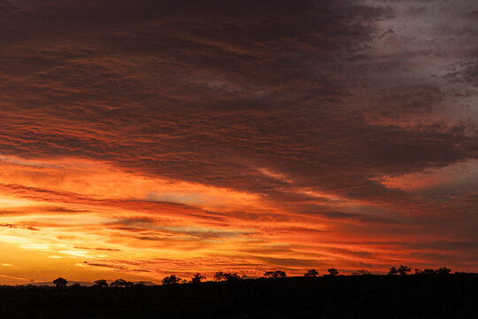 Landscape, Sunset, horizontal panoramic shot of a dramatic, deep orange and red sky over a silhouetted koppie (small hill).