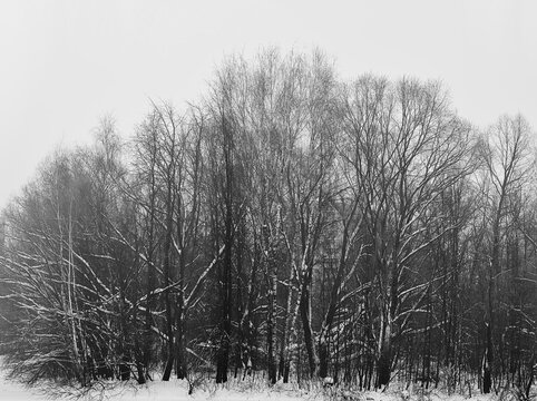 Cold winter city park landscape background