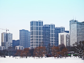 City park in winter landscape illustration backdrop