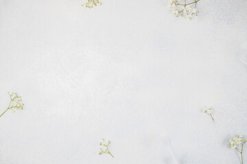 Minimal white spring background with delicate flowers and natural copy space