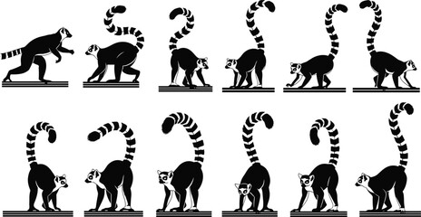 Sequence of black and white ring‑tailed lemur silhouettes walking with striped tails for wildlife biology, motion study, animation, and design use © Masud