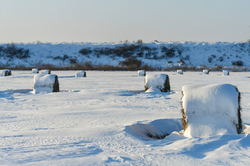 Snow-covered hay bales in frosted winter field on a sunny day.
