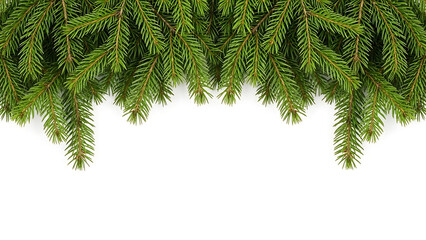 Obraz premium Lush green foliage with hanging branches on white background